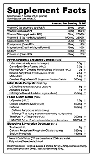 NutraBio PRE Workout Powder - Sustained Energy, Mental Focus, Endurance - Clinically Dosed Formula - Beta Alanine, Creatine, Caffeine, Electrolytes - 20 Servings - Raspberry Lemonade