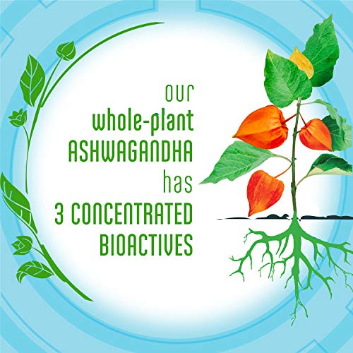 Stressballs, De-Stress + Focus, with Ashwagandha for Stress Relief, Sage & Green Tea Herbal Blend, Non-Drowsy Supplement, 46 Gummies