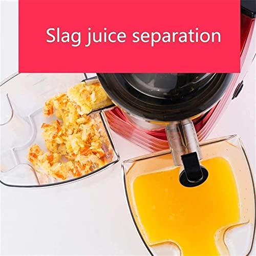 Juicer Machines Slow Masticating Juicer Extractor,3.15 Inches Wide Chute Cold Press Juicer for Easy Juice,High Juice Yield for Fruit and Vegetable