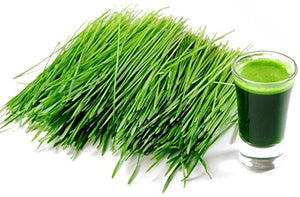 Organic Barley Grass Juice Powder - 5 lb Bulk Size - Amazing Green Superfood Perfect For Smoothies, Drinks, Recipes - Rich In Vitamins, Minerals, Antioxidants - Raw, Vegan, Non GMO