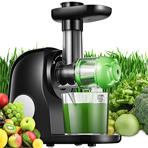 Juicer Machines, Slow Masticating Juicer Easy to Clean, Cold Press Juicer Extractor with Quiet Motor & Reverse Function for Vegetable and Fruit, Classic Black