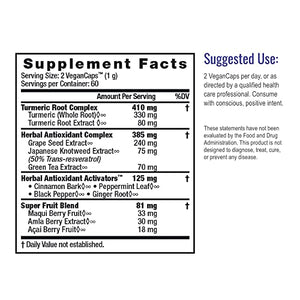 HealthForce SuperFoods Antioxidant Extreme - 120 VeganCaps - All-Natural Turmeric Root Complex - Supports Cognitive & Immune Functions - Kosher & Gluten Free - 60 Servings
