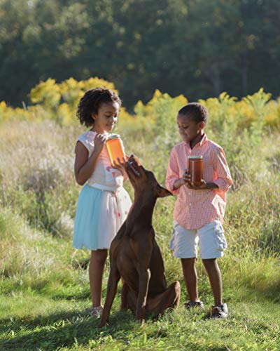 Unfiltered Raw Honey by Zach & Zoe Sweet Bee Farm – Pure Farm Raised Honey Packed with Powerful Anti-oxidants, Amino Acids, Enzymes, and Vitamins! (Creamed - 16oz)