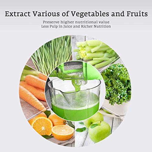 Juicer Machines, Slow Masticating Juicer Easy to Clean, Cold Press Juicer Extractor with Quiet Motor & Reverse Function for Vegetable and Fruit, Classic Black