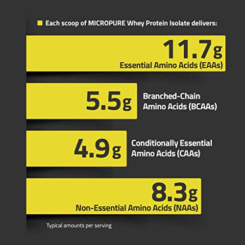 Kaged Muscle Whey Protein Powder 100 Whey Protein Isolate for Post Workout Recovery 3lbs, Chocolate, 48 Ounce