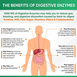 Digestive Enzymes 1000MG Plus Prebiotics & Probiotics Supplement, 180 Capsules, Organic Plant-Based Vegan Formula for Digestion & Lactose with Amylase & Bromelain, 3-6 Month Supply