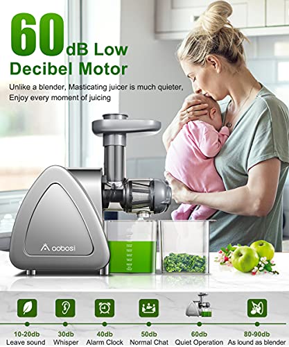 Aobosi Slow Masticating Juicer Machine, Cold Press juicer Extractor, Quiet Motor, Reverse Function, High Nutrient Fruit and Vegetable Juice with Juice Jug & Brush for Cleaning, Gray