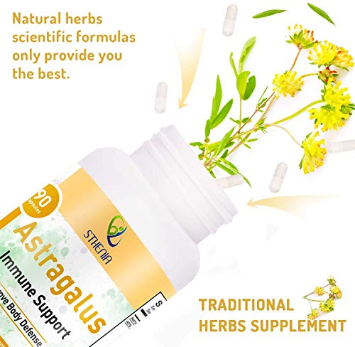 Sthenia Astragalus Root 300 mg Supplement 90 Vegan Capsules for Immune System Support, Improve Body Defense for Man & Women, (40% Polysaccharides) Non-GMO