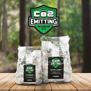 CO2 Emitting Reishi Mushroom Kits - Carbon Dioxide Booster (Standard) - PRE-Activated