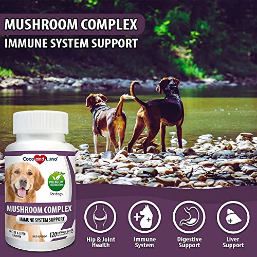 Mushroom Complex for Dogs - Immune Support for Dogs, Digestive Support, Dog Hip and Joint Health - with Turkey Tail, Lion's Mane, Shiitake, Maitake, Milk Thistle + Vitamins - 120 Chewable Tablets