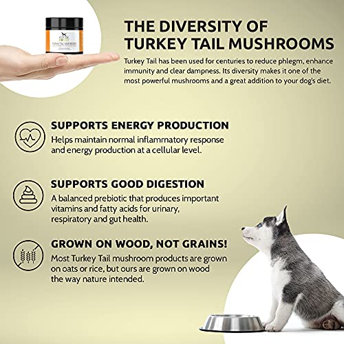 Four Leaf Rover: Turkey Tail Mushroom Extract - Critical Immune Support and Prebiotic for Dogs - Up to 200 Servings, Depending on Dog’s Weight - Rich in Beta-Glucans - Vet Formulated - for All Breeds