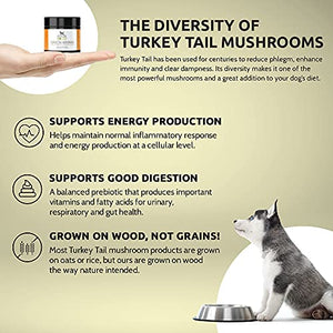 Four Leaf Rover: Turkey Tail Mushroom Extract - Critical Immune Support and Prebiotic for Dogs - Up to 200 Servings, Depending on Dog’s Weight - Rich in Beta-Glucans - Vet Formulated - for All Breeds
