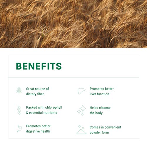 Purisure Wheat Grass Powder, Gluten-Free Superfood, Perfect Source of Vegan Protein, Amazing Nutrient-Rich Whole Food Supplement, 227 g (8oz)