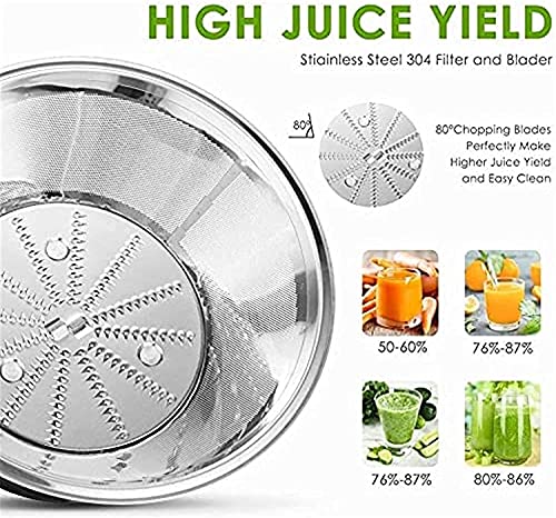 WXLBHD Juicer, Slow Masticating Juicer Machine, Cold Press Juicer Machines with Quiet Motor, Three-speed Knob Speed Regulation, Easy to Clean