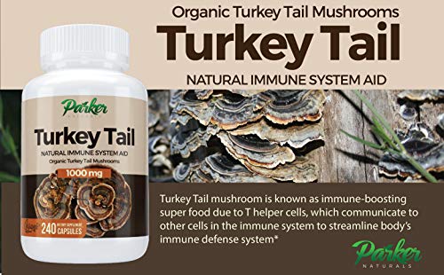 Premium Organic Turkey Tail Mushroom Capsules by Parker Naturals Supports Immune System Health. Nature's Original Superfood. 240 Capsules …