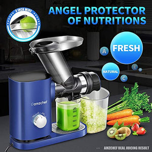 AMZCHEF Slow Juicer Machines Slow Masticating Juicer Cold Press Juicer Vegetables&Fruits Extractor 3'' Large Feed Chute Non-porous Filter Easy Clean& Quite 2 Speeds Jug Brush BPA-Free (Blue)