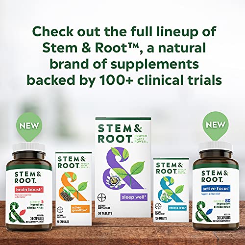 Stem & Root Brain Boost Herbal Supplements with Adaptogenic Herbs Bacopa & Rhodiola to Improve Cognitive Performance, Boost Brain Power & Enhance Short-Term Memory, Nootropics, Capsules - 30 ct