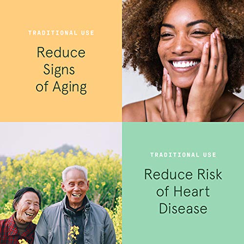 SB Organics Maqui Berry Capsules - 90 ct Non-GMO Vegan Supplement Made of Pure Maqui Berry Powder from Chile - Rich in Antioxidants