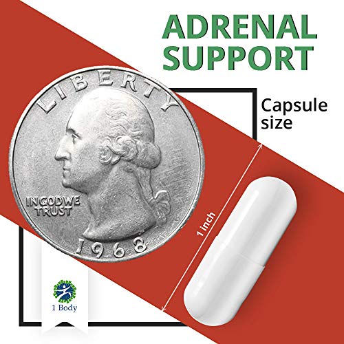 Adrenal Support Ashwagandha Capsules - Cortisol Manager - A Supplement containing Rhodiola Rosea, Vitamin B12, B5, B6, Magnesium, Ginger Root Extract, Schizandra Berry, Ashwaganda - Vegetarian