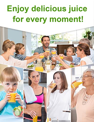 Slow Juicer Cold Press Juicer Masticating Juicer Machines Juice Extractor for Celery Kale Ginger Kiwi Carrot Quiet Easy to Clean High Yield Drier Pulp BPA-Free Reverse Function for Vegetables & Fruits