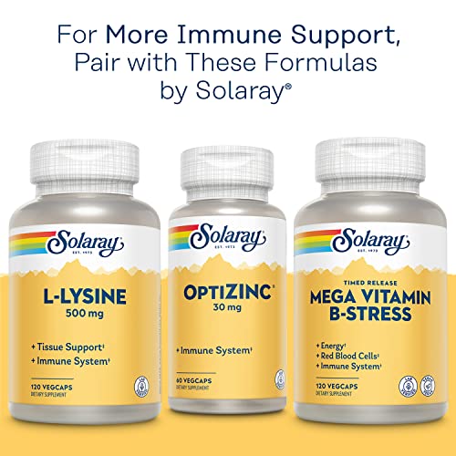 Solaray QBC Plex | Quercetin & Bromelain Plus Vitamin C | Year Round Immune Function & Respiratory Health Support | Non-GMO & Vegan (60 CT)