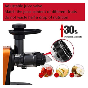 Juicer Machines Juicer Juicer, Slow Masticating Juicer Juicer Whole Fruit Vegetable Extractor Anti-Oxidation,Juicer Machines Vegetable and Fruit,Non-Slip Pad at The Bottom, All-Round Heat Dissipa