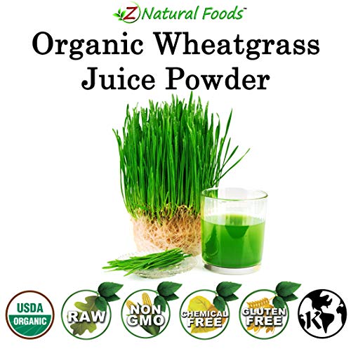 Organic Wheatgrass Juice Powder - Ultra Concentrated Green Nutrition - Incredible Superfood for Shots, Smoothies, Shakes, Recipes - Boost Energy Vitality - Raw, Non GMO, Vegan, Kosher - 1 lb