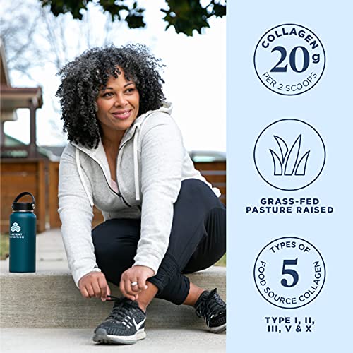 Collagen Powder Protein by Ancient Nutrition, Multi Collagen Protein Gut Restore, Lemon Ginger, Apple Cider Vinegar, Vitamin C, Hydrolyzed Collagen Peptides for Healthy Hair and Nails,8.4 oz.