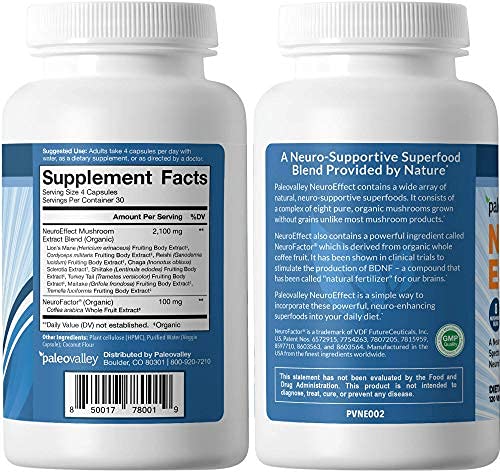 Paleovalley NeuroEffect - Neuro Mushroom Coffee Nutritional Supplement for Stress Relief, Focus, Memory and Energy Support - 3 Pack - 8 Full-Spectrum Mushrooms and Whole Coffee Fruit Extracts