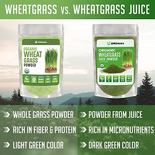 XPRS Nutra Organic Wheatgrass Powder - Whole Leaf Wheat Grass Powder - Made from Wheat Grass Powdered Organic Leaves - Vegan Friendly, Clean Sourced Organic Wheatgrass Powder (4 oz)