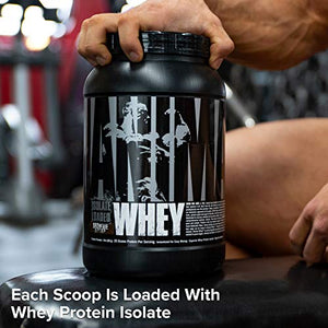 Animal Whey Isolate Whey Protein Powder – Isolate Loaded for Post Workout and Recovery – Low Sugar with Highly Digestible Whey Isolate Protein - Brownie Batter - 2 Pounds