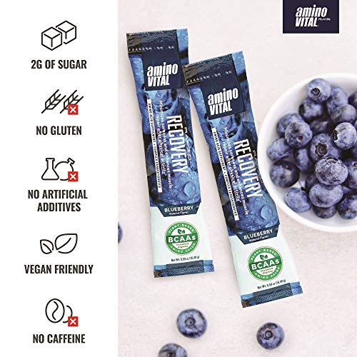 Amino VITAL Rapid Recovery- BCAAs Amino Acid Post Workout Powder Packets | Muscle Recovery Drink with Glutamine | Vegan, Gluten Free Supplement | 14 Single Serve BCAA Travel Packets | Blueberry Flavor