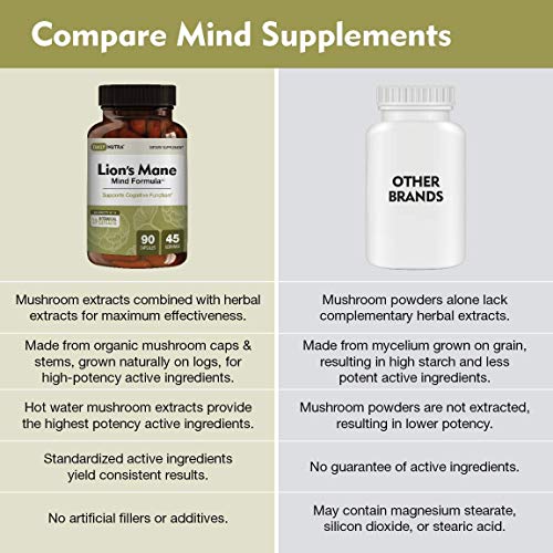 Lion’s Mane Mind Formula by DailyNutra - Nootropic Supplement for Cognitive Health | Organic Mushroom Extract with Bacopa, Gingko, Gota Kola, and Huperzine-A (90 Capsules)