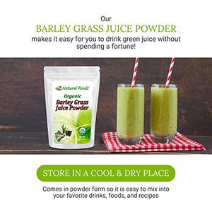 Organic Barley Grass Juice Powder - 1 lb - Amazing Green Superfood Perfect For Smoothies, Drinks, Recipes - Rich In Vitamins, Minerals, Antioxidants - Raw, Vegan, Non GMO