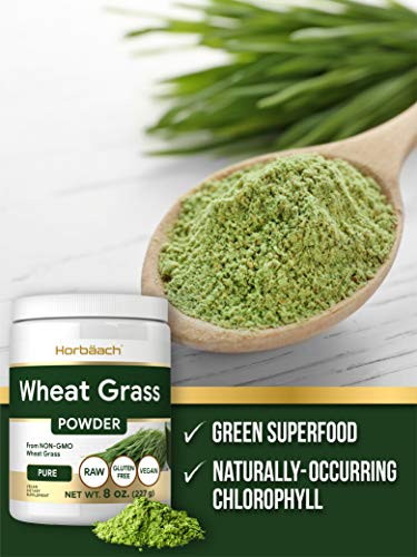 Wheatgrass Powder | 8oz | Vegan, Raw, Non GMO & Gluten Free Wheat Grass Superfood Powder | by Horbaach