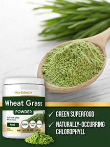 Wheatgrass Powder | 8oz | Vegan, Raw, Non GMO & Gluten Free Wheat Grass Superfood Powder | by Horbaach