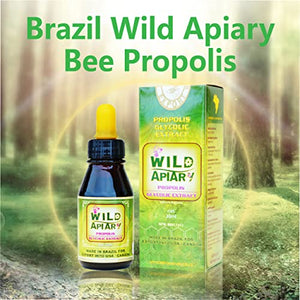 Bee Propolis Liquid Extract 85% Non Alcohol - 25 Bottles of Wild Apiary Green Bee Propolis Liquid Glycolic Extract-Non Alcoholic, Wax Free, Sugar Free