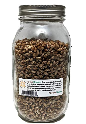 Sterilized Rye Grain Berries Seeds for Mushroom Spawn | Quart Jars with Filter and Self-Healing Injection Port (1)