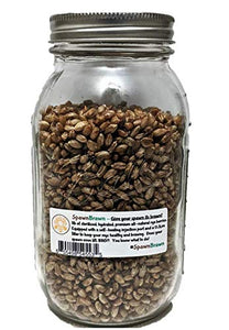 Sterilized Rye Grain Berries Seeds for Mushroom Spawn | Quart Jars with Filter and Self-Healing Injection Port (1)