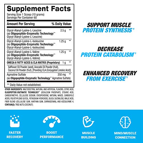 BPI Sports Best BCAA - BCAA Powder - Branched Chain Amino Acids - Muscle Recovery - Muscle Protein Synthesis - Lean Muscle - Improved Performance – Hydration – Fruit Punch - 60 Servings - 1.32 Pound