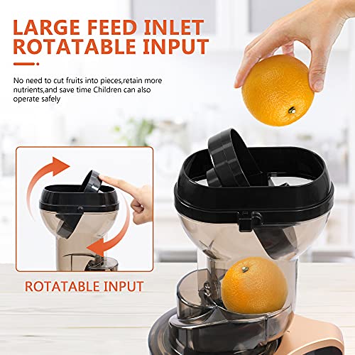 Slow Masticating Juicer High Yield,MOLTRES Cold Press Juicer Machine with Quiet Motor, Juicer Extractor with Reverse Function for Vegetables and Fruits Supplies a Brush Easy to Clean