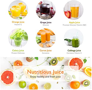 Juicer Machines, Slow Masticating Juicer Easy to Clean, Cold Press Juicer Extractor with Quiet Motor & Reverse Function for Vegetable and Fruit, Classic Black