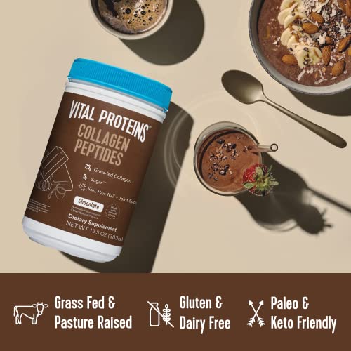Vital Proteins Chocolate Collagen Powder Supplement (Type I, III) for Skin Hair Nail Joint - Hydrolyzed Collagen - Dairy & Gluten Free - 27g per Serving - Chocolate Flavor, 13.5 oz Canister