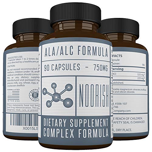 Acetyl L-Carnitine with Alpha Lipoic Acid - ALA ALC ALCAR - Alpha Lipoic Acid with Acetyl L-Carnitine - 525 mg ALCAR - 225 mg ALA - 90 Capsules