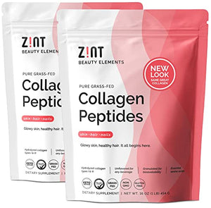 Zint Collagen Hydrolysate Protein Powder | Certified Paleo Friendly | Collagen Supplements for Men and Women Types I & III, 16 oz (2 Pack 32oz Total)