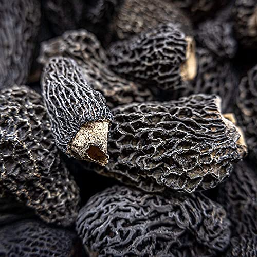 West Coast Wild Foods | Dried Wild Mushrooms (Morel, 0.5lb)