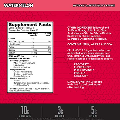 BSN CELLMASS 2.0 Post Workout Recovery with BCAA, creatine, & glutamine - Watermelon, (50 Servings)