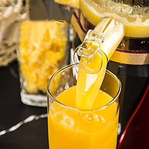 Juicer Machines Juicer Machines, Slow Masticating Juicer Extractor Easy to Clean, Quiet Motor and Reverse Function, Cold Press Juicer for Vegetable and Fruit Carrots, Oranges and Celery etc