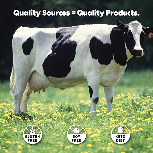 True Nutrition - Whey Protein Concentrate - 100% Whey Protein Powder - Fast Acting Low Carb Protein Powder with Essential Amino Acids - High in Leucine - French Vanilla - 1lb.