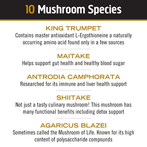 Om Mushroom Superfood Master Blend Mushroom Powder Supplement, 3.2 Ounce, 34 Servings, 10 Mushroom Complex, Lions Mane, Chaga, Cordyceps, Reishi Extract Adaptogens for Vibrant Health, Immune Support